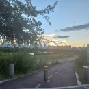 GS25구월길목점 | GS25 편의점 알바 야간 후기 대타로 1일 해본 경험 하는 일 담배재고 돈세기 손님응대 잠 이긴법 급여...