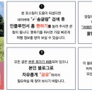 함양 지리산 상회 이미지
