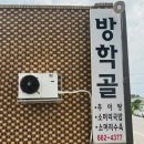 주문진스쿠버 | 강릉 주문진 현지추천맛집 추어탕 소머리국밥 내장탕 맛집 방학골