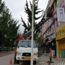 세교초교 사거리 이미지