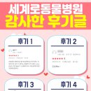 세계로 동물병원 이미지