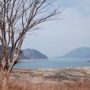 클럽멤피스글램핑 이미지