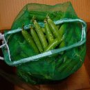 김갑수농장 이미지