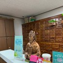경희새힘한의원 | 경희신창한의원 중학생 강남 원형탈모 치료 후기