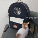 두리동물클리닉 이미지