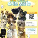 쓰담한의원 | #260206 부천애견카페 - 부천 멍스냅