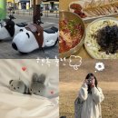 경주 1박2일 여행 코스 - 대릉원, 황리단길 맛집 카페, 경주 가볼만한 곳