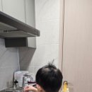 마이올가