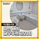 대우푸르지오1차 | 아산 배방 대우 푸르지오 1차, 욕실 리모델링 후 늦게 하게 된 줄눈 시공이 후회돼요!