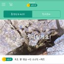 돈버는광고 이미지