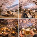 나그네 | 논산 나그네캠핑장 벚꽃캠핑 후기 🌸 감성 미쳤다