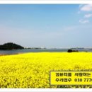 마이크로닉 이미지