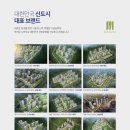 모아 미래도 센트럴 1차 이미지