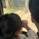 주식회사 온더짐 | 3개월, 29개월 아이랑 환장의 에버랜드 팁앤 후기(5월 이용권 할인 구매 팁)