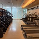 마이 피티(MY PT) 이미지