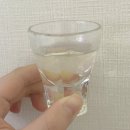 고헌정영농조합법인 이미지