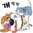 표나개 반려애견 미용실 이미지