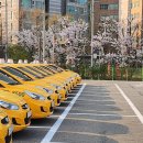 서부우회도로 | 운전면허 따기④: 실격 1번 불합격 1번, 3트만에 도로주행 합격, 취득까지 총비용 123만원
