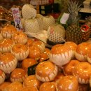 태양청과 이미지