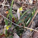 상산 마을회관 이미지