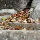 봉정암, 가을 유람기 이미지