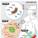 소금이란 이미지