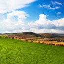 동아골프 이미지