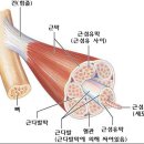 새부산병원 이미지