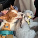 열린파크 이미지