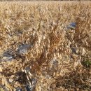 한상태농장 이미지