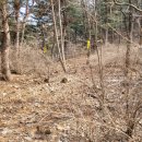 대성3리 마을회관 이미지