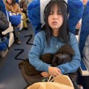 (유)금강산고속관광 | 탱구와 1박2일로 묵호에 간 일🌊🐚 (묵호 사람 많다매)