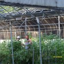 천석농장 이미지