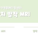 24시 아프리카동물병원 이미지