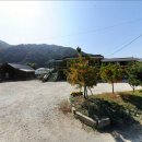 직실농원 이미지