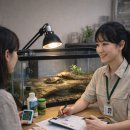 거북이유통