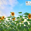[찬양] 왕의 왕, 주의 주 (King of Kings, Lord of Lords) - Geron Davis 작사 작곡 이미지