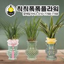 칙칙폭폭플라워 이미지