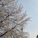 용암3길 네이버블로그
