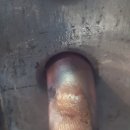 화성식당 이미지