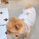예닮헤어 이미지