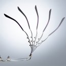 아트안경 이미지