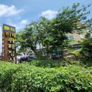 토평동-2 | 서귀포 토평동 맛집 미래뷔페정식 한식 전문점 후기