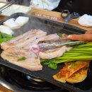[2026.04] 봄봄봄 봄이 왔어요.