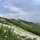 희재농장 | 찬란하게 부서진 불꽃처럼 파도처럼