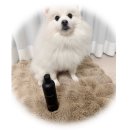 이리온동물병원 아브뉴프랑 판교점 | 루코맘이 선택한 ODAC 오버츄어 서린 시그니처 저자극 펫 샴푸 사용 후기