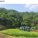 국립김천숲속야영장 이미지