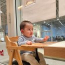 용산-424 | 도만다 피자 메뉴 추천 예약 주차 : 용산 어린이정원 맛집