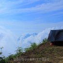 길촌길 | 입화산참살이숲제1오토캠핑장 선택 전 볼 핵심 정보와 체크포인트