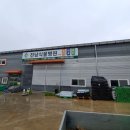 전남식물병원 네이버블로그